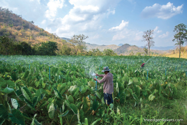Cover Story: At one with the land